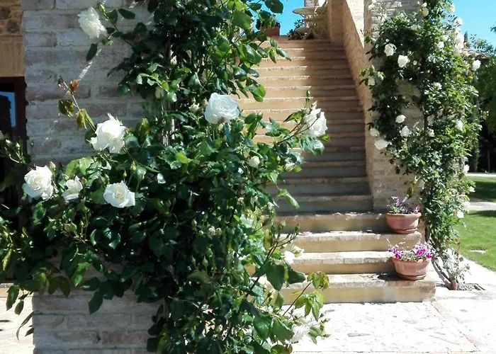 Casa Laura 3* مونتيفالكو